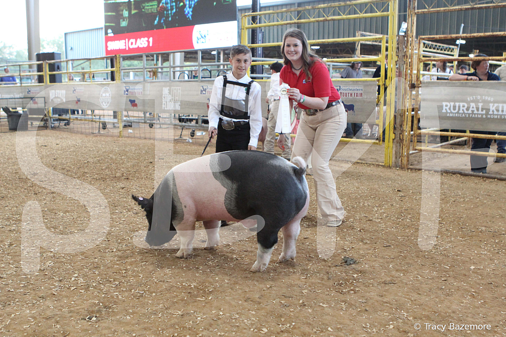 swine0165