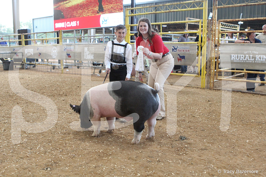 swine0166