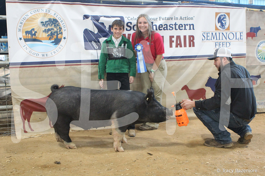 swine0168