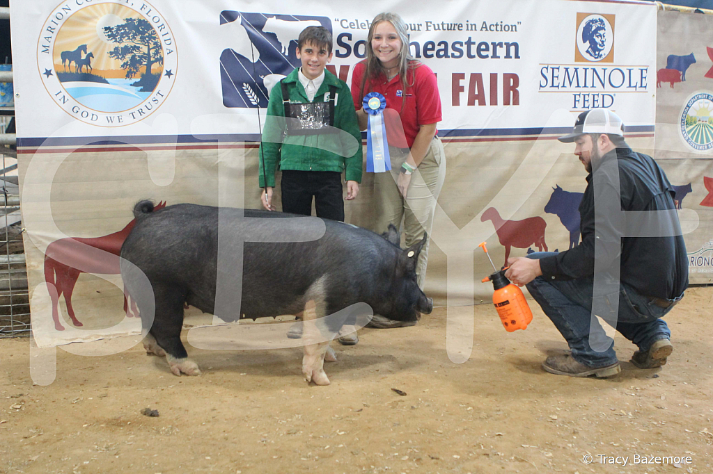 swine0169