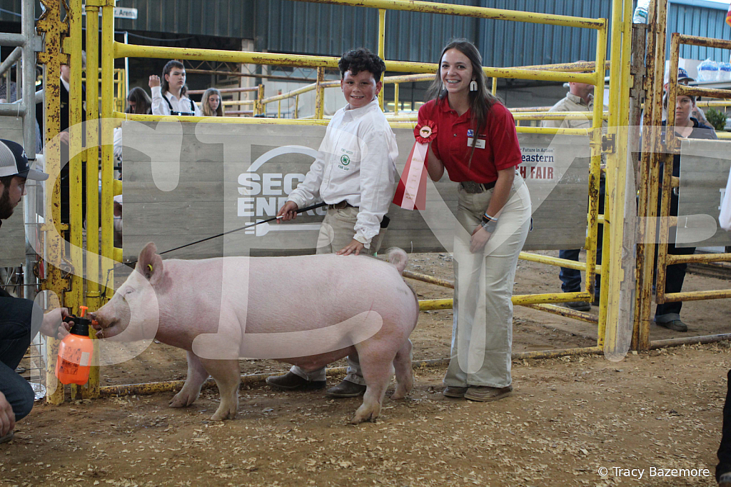 swine0170