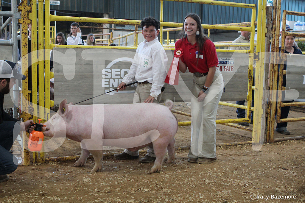 swine0171