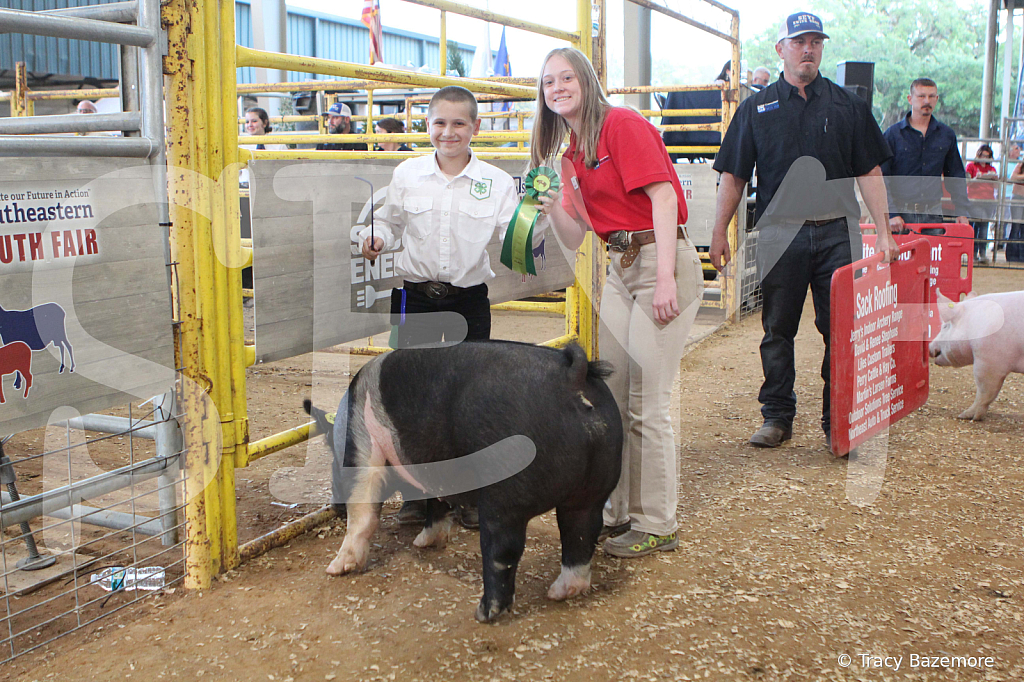 swine0175