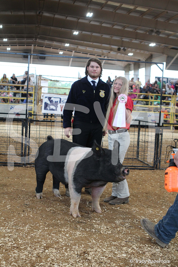 swine0176