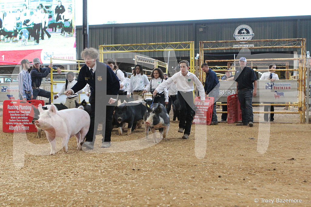 swine0180