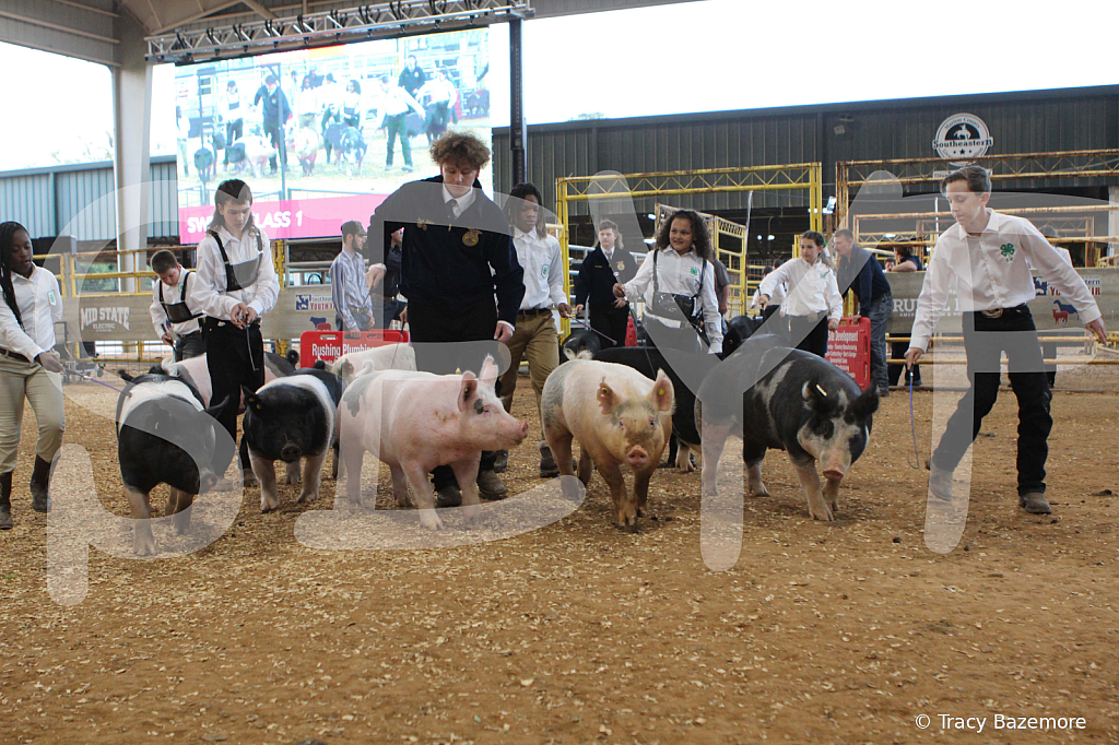 swine0182