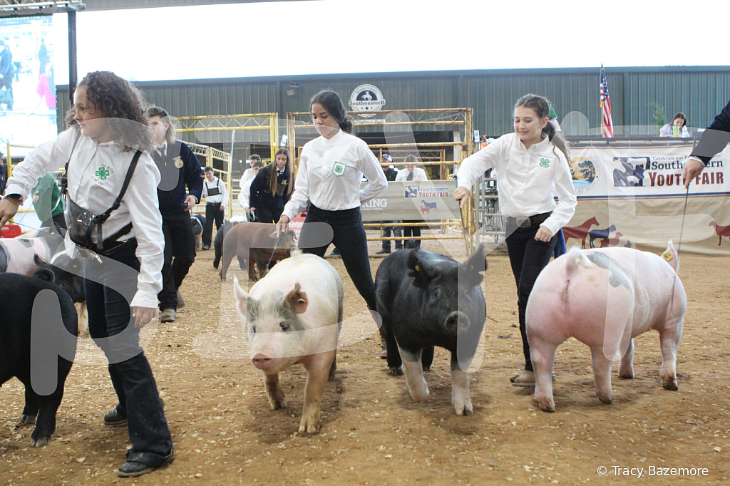 swine0183