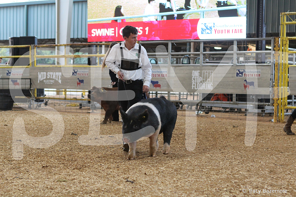 swine0187