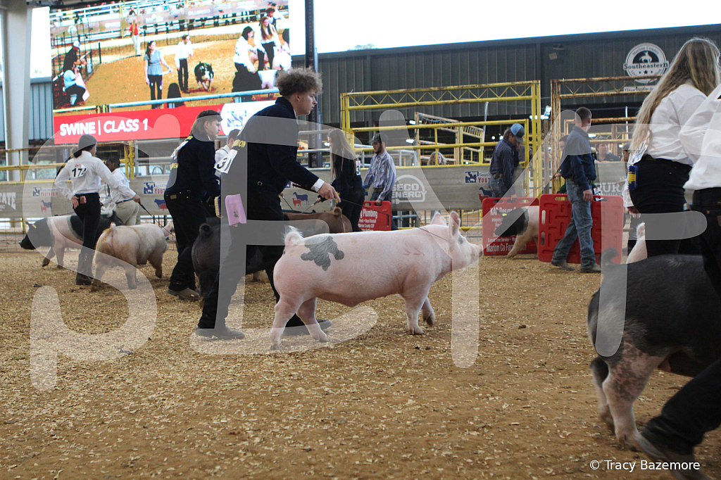 swine0186