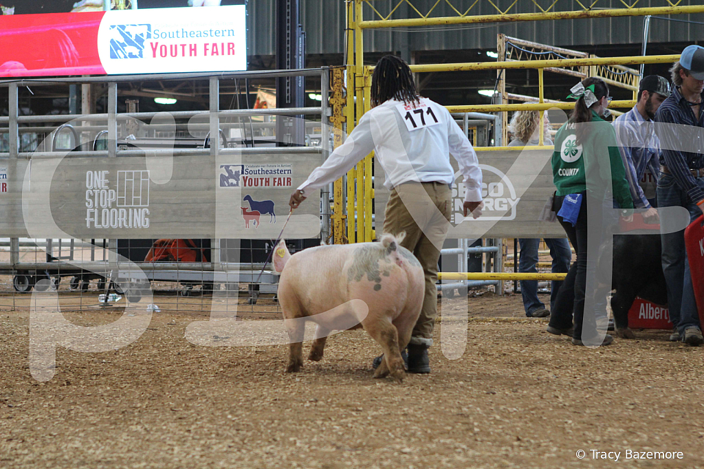 swine0188