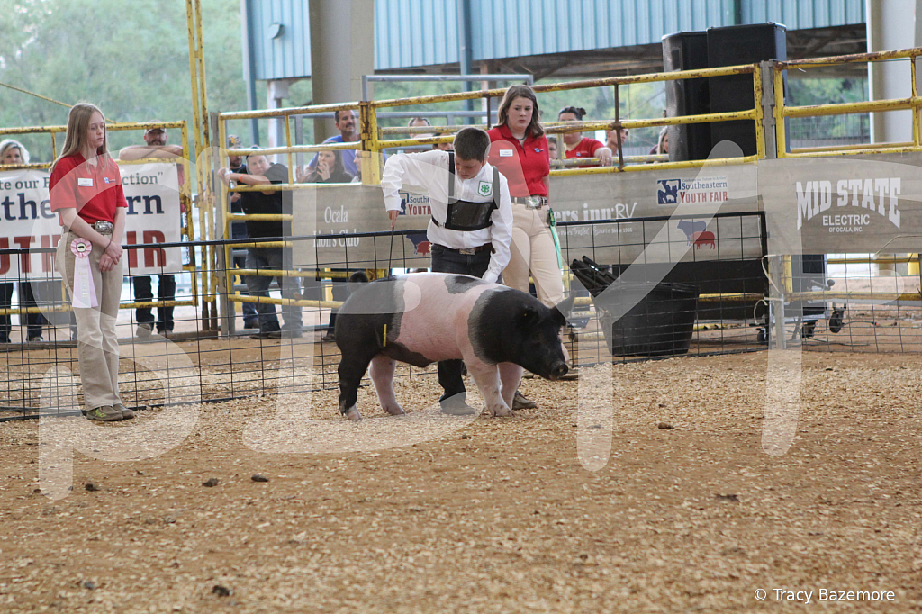 swine0189