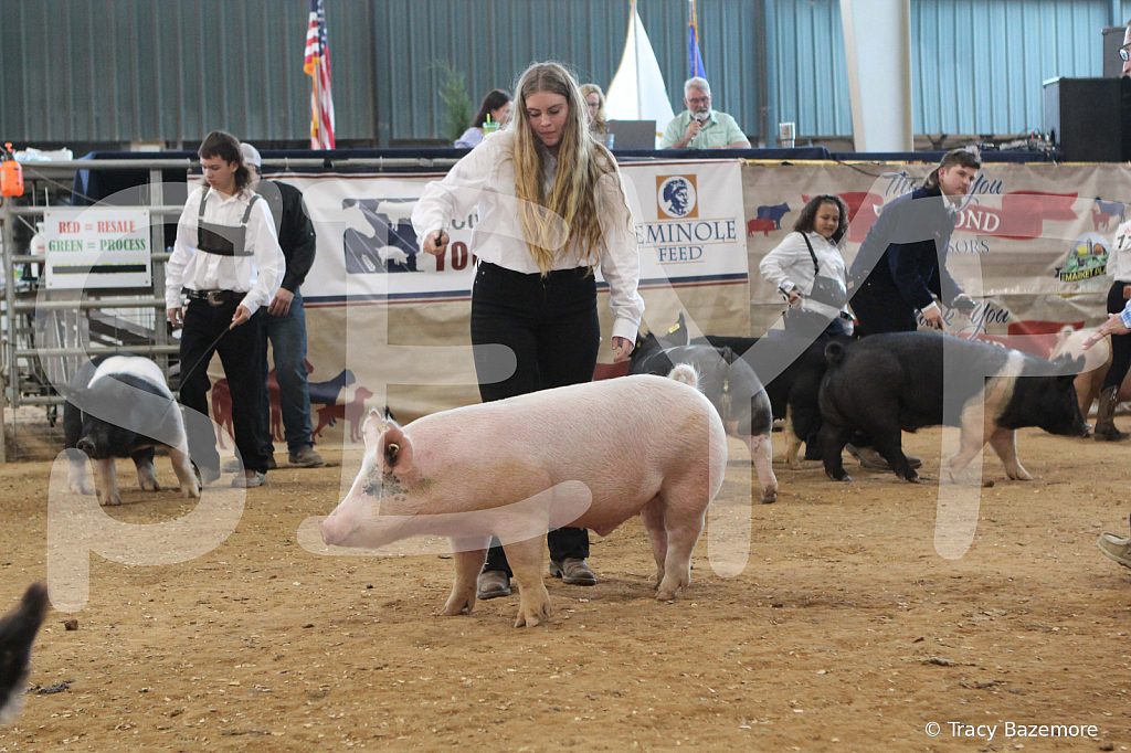swine0192