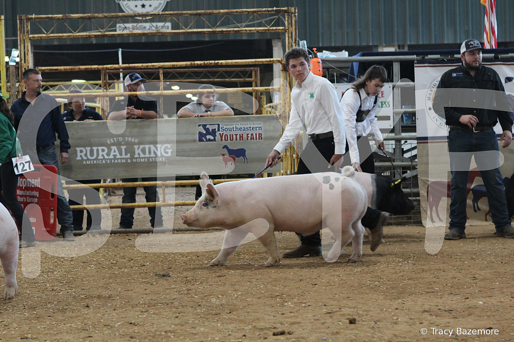 swine0191