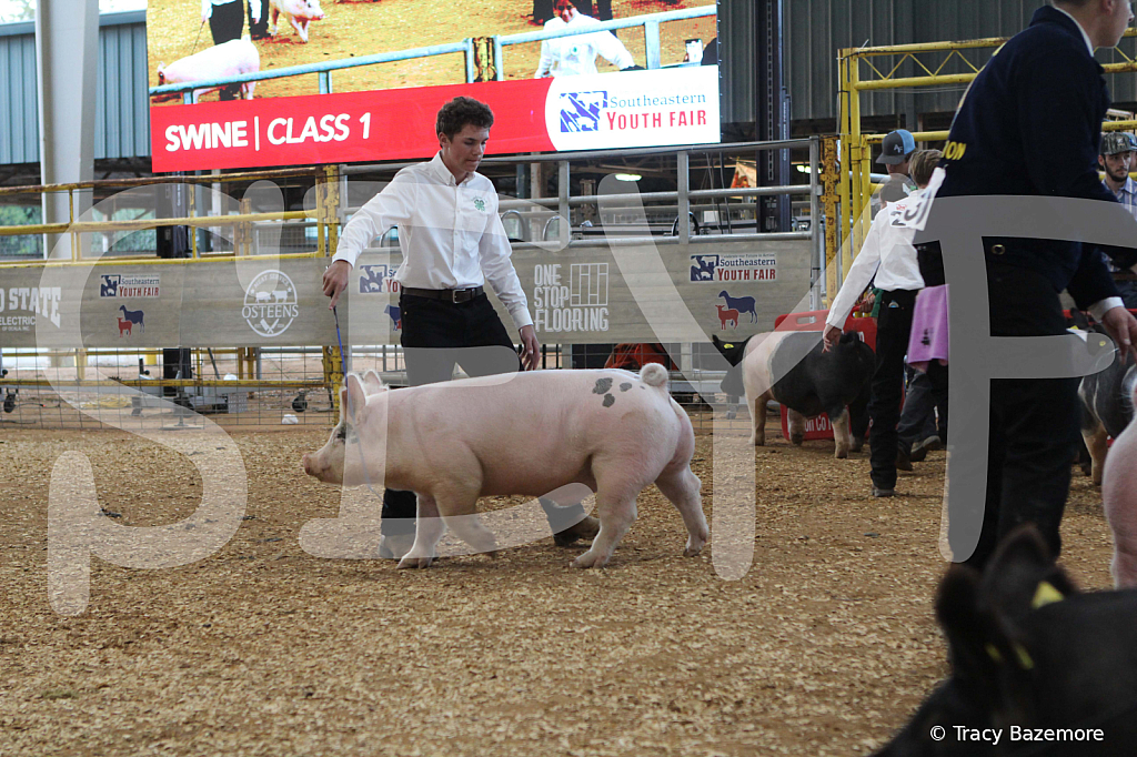 swine0194