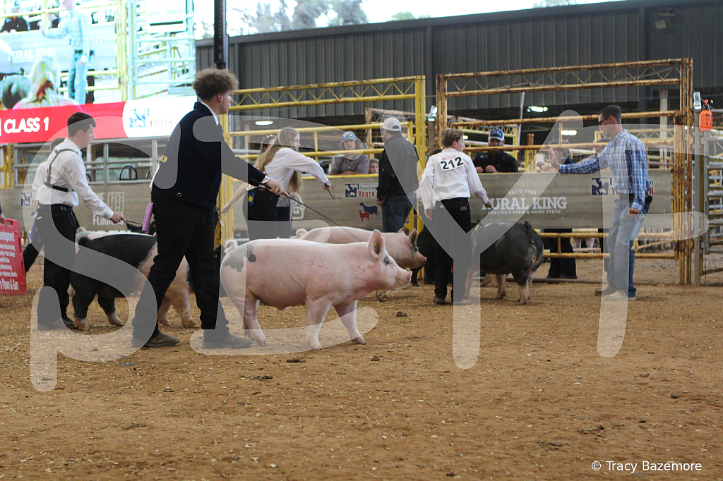 swine0196