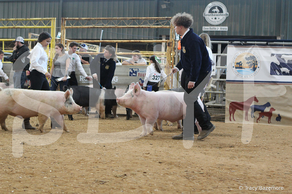 swine0199