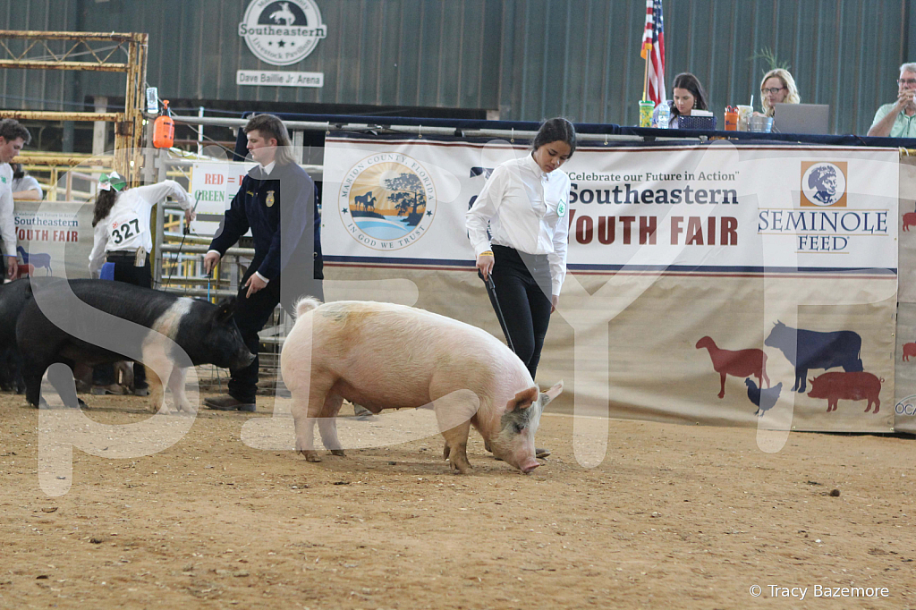 swine0200