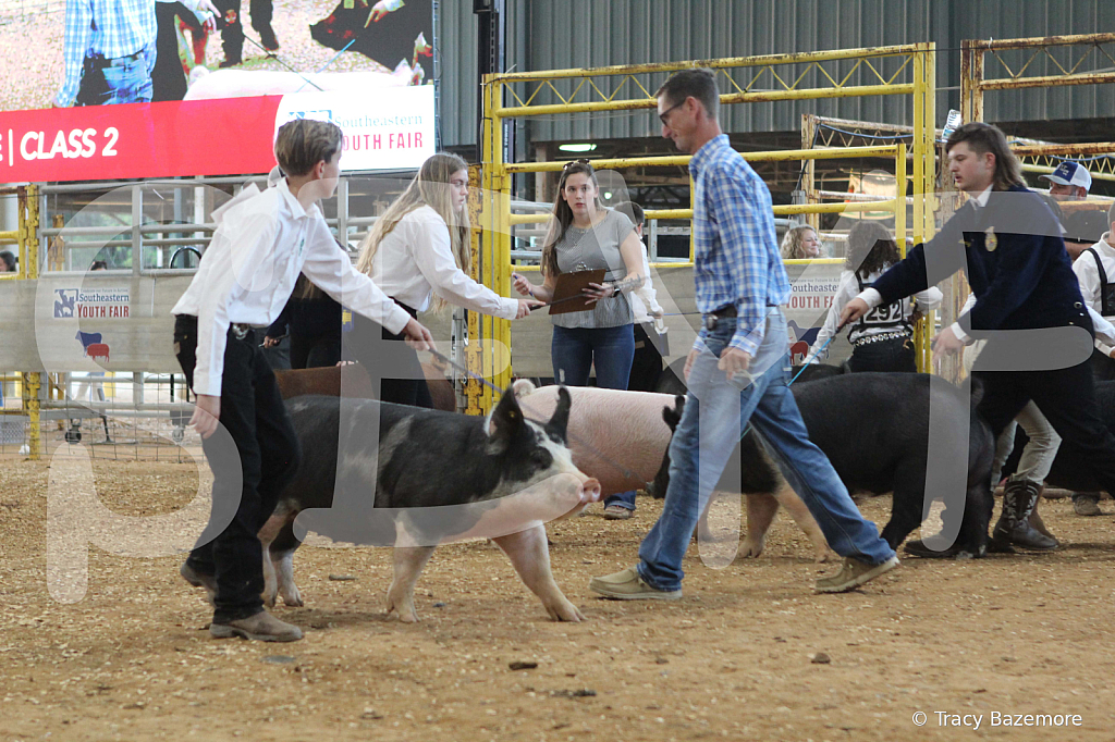 swine0201