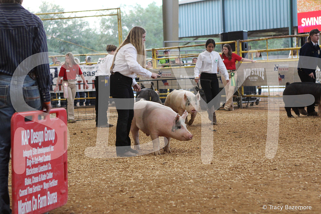 swine0207
