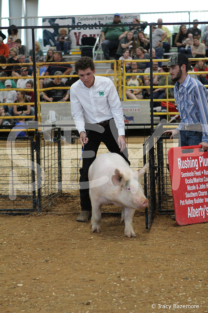 swine0209