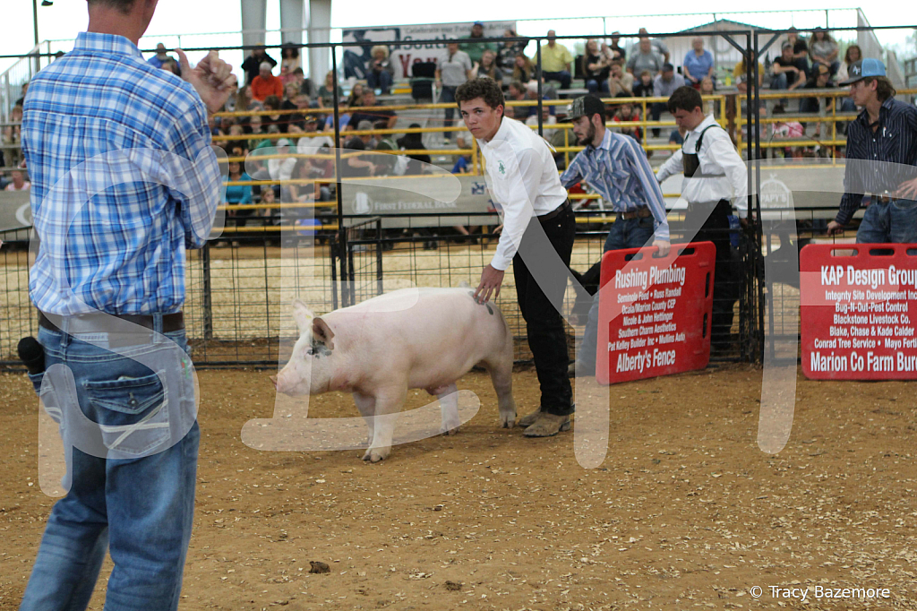 swine0211
