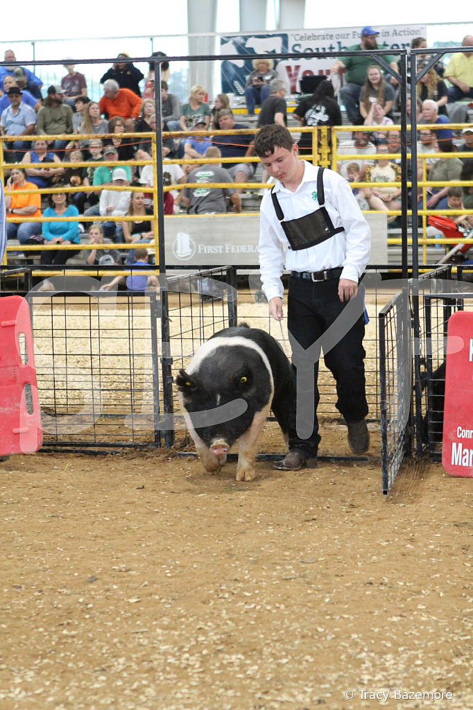 swine0212