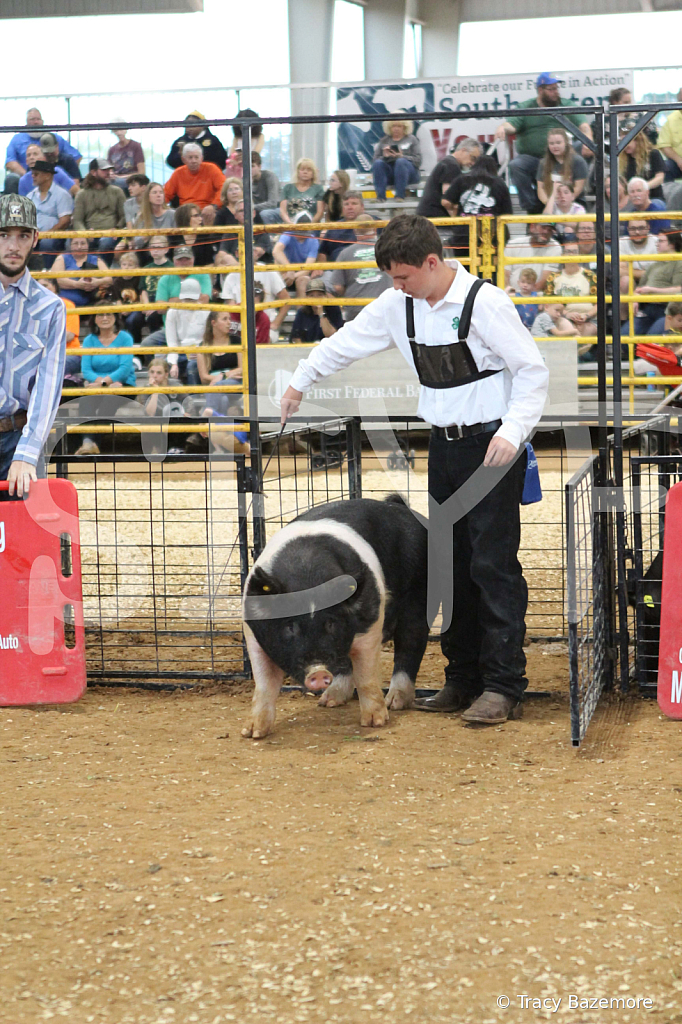 swine0213