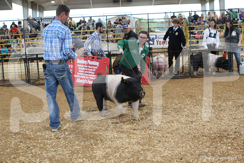 swine0216