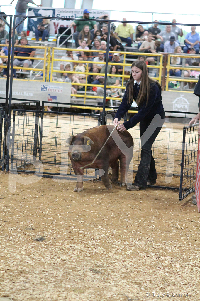 swine0217