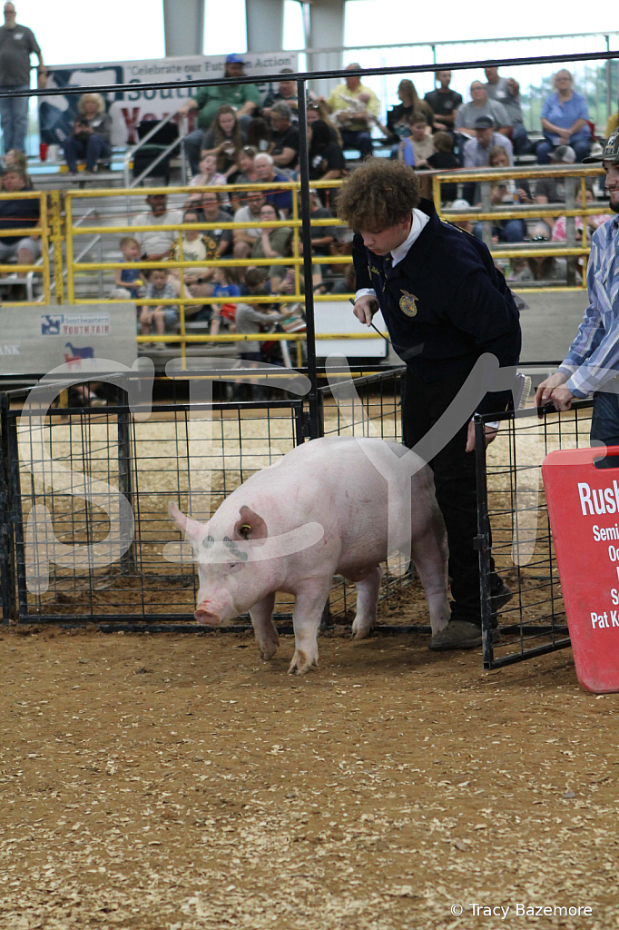 swine0218
