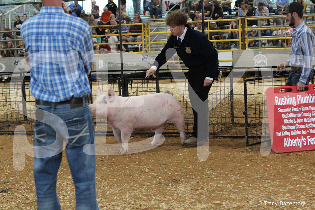 swine0219