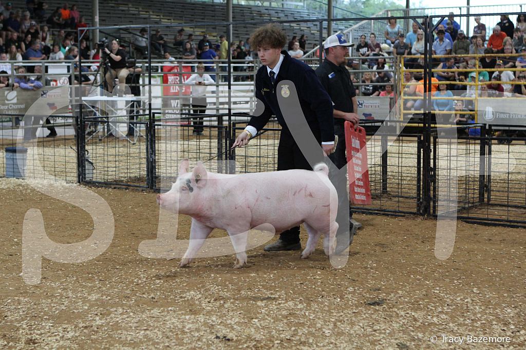 swine0220