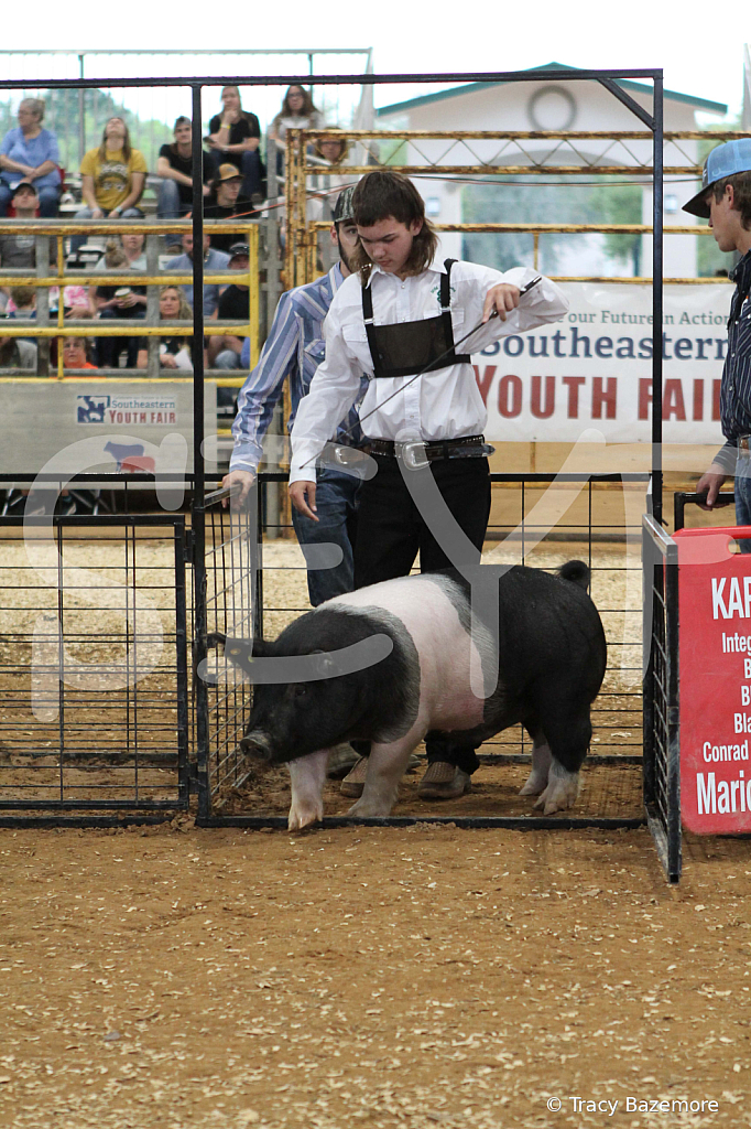 swine0221