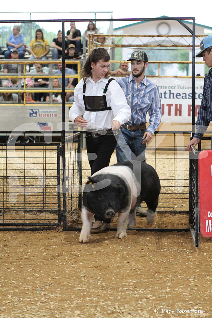 swine0222