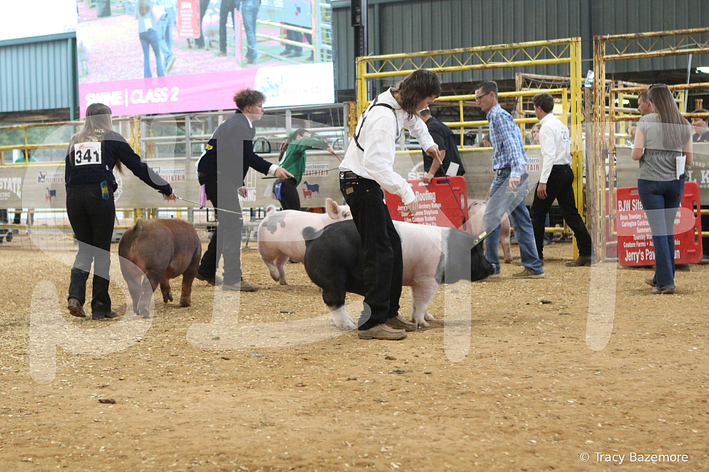 swine0224