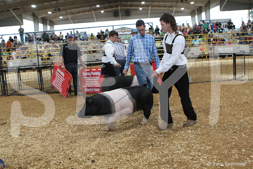 swine0223