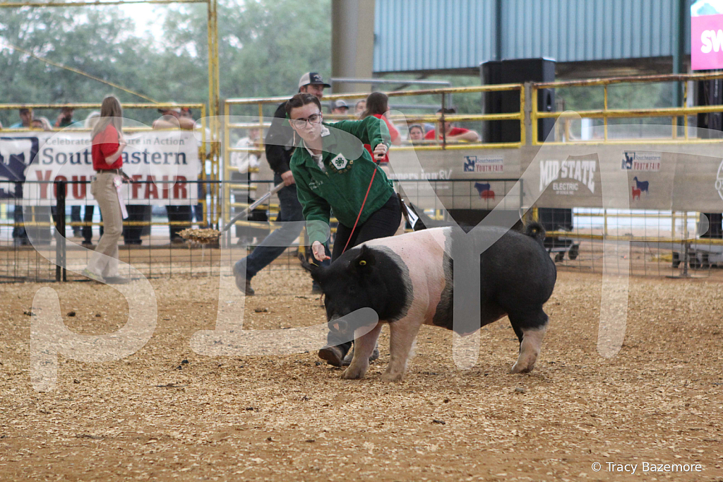 swine0228