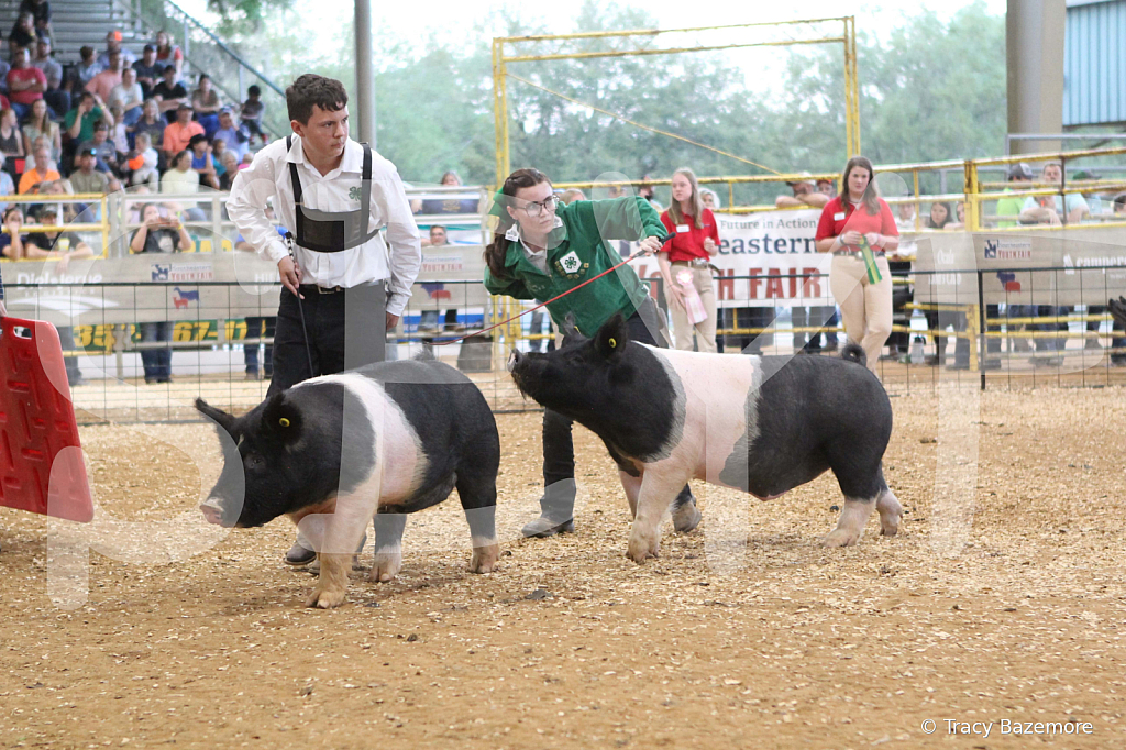 swine0230