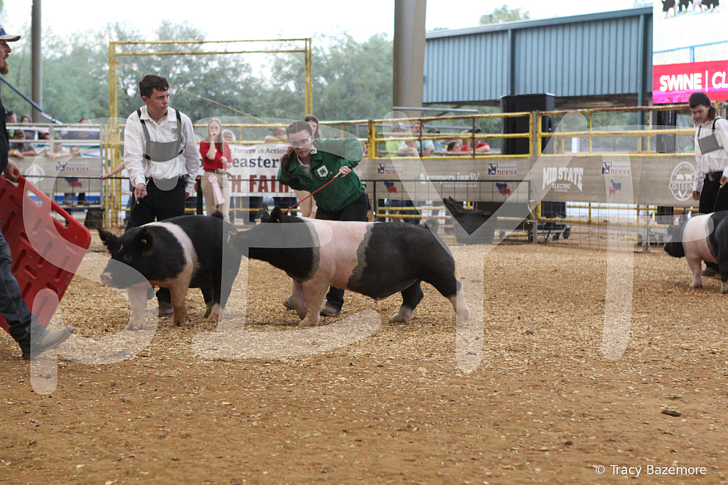 swine0229