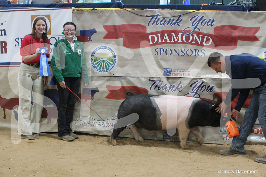 swine0234