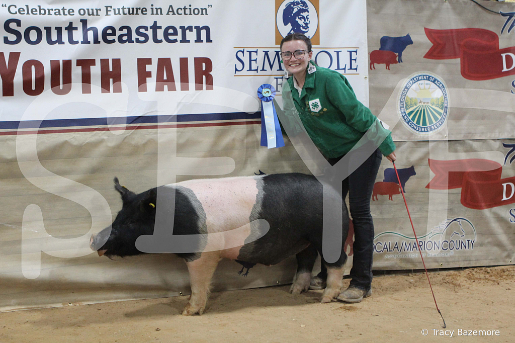 swine0235