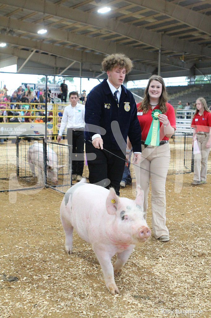 swine0236