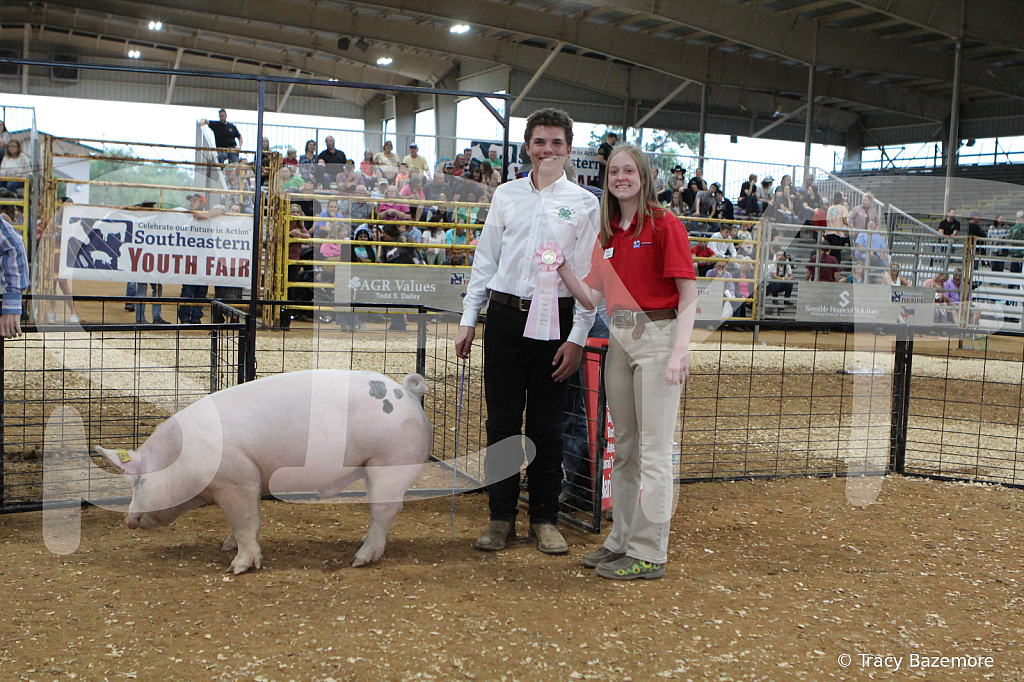 swine0237