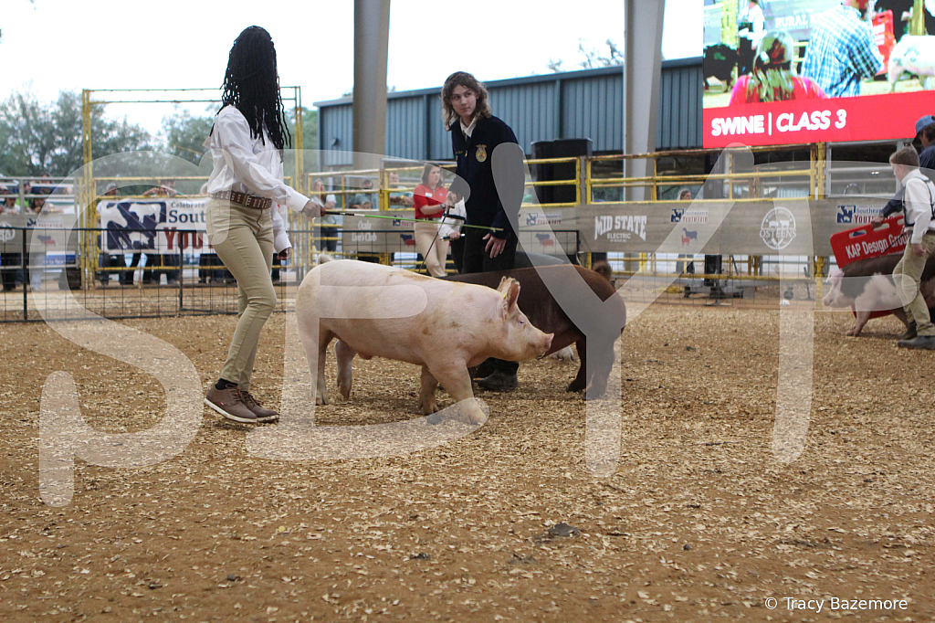 swine0257