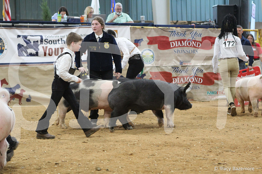 swine0261