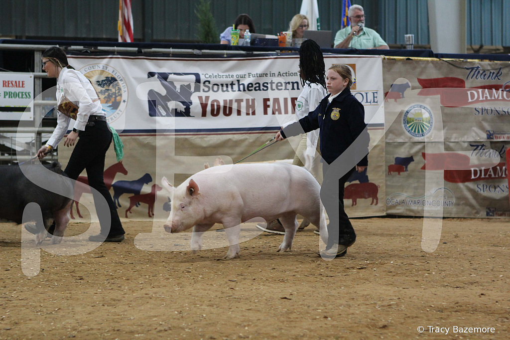 swine0263