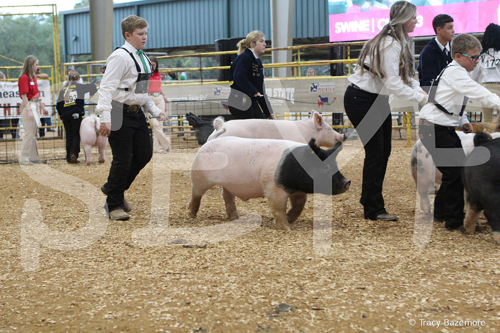 swine0265