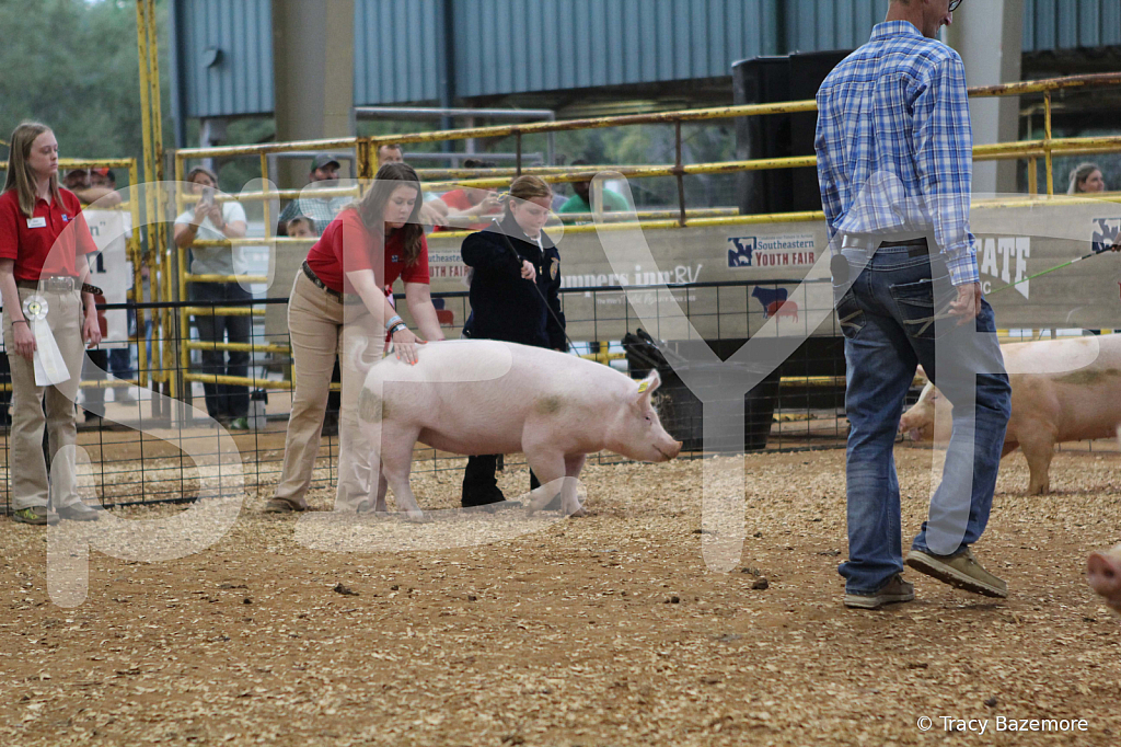swine0266