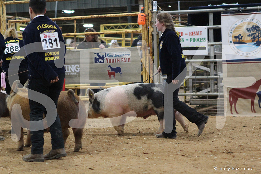 swine0270