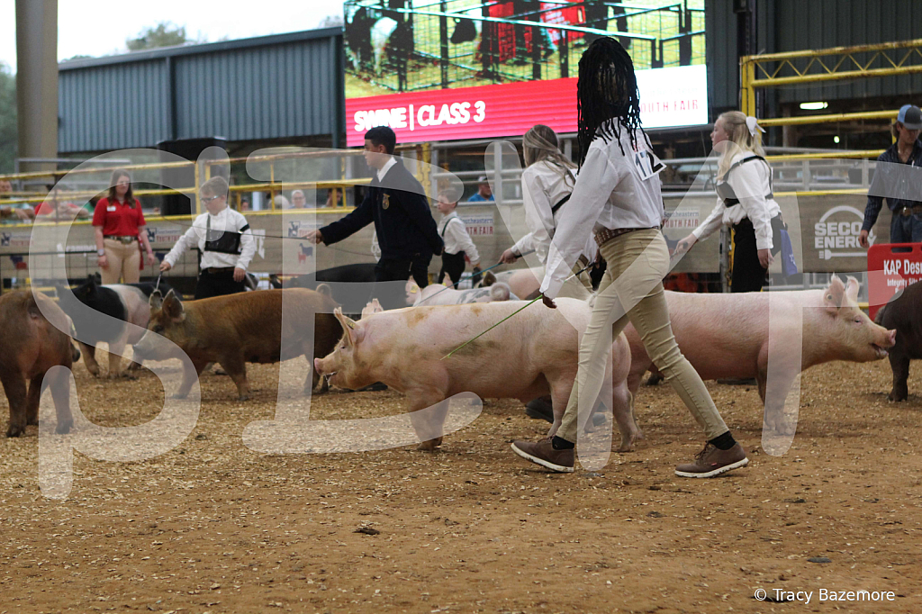 swine0272